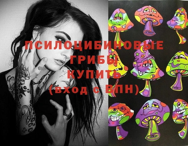 прущие грибы Алексеевка