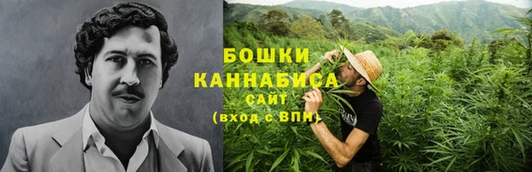 прущие грибы Алексеевка
